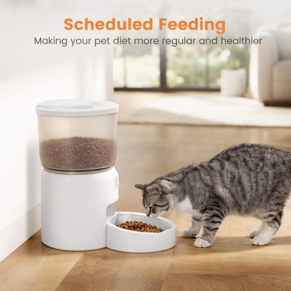 Automatic feeder