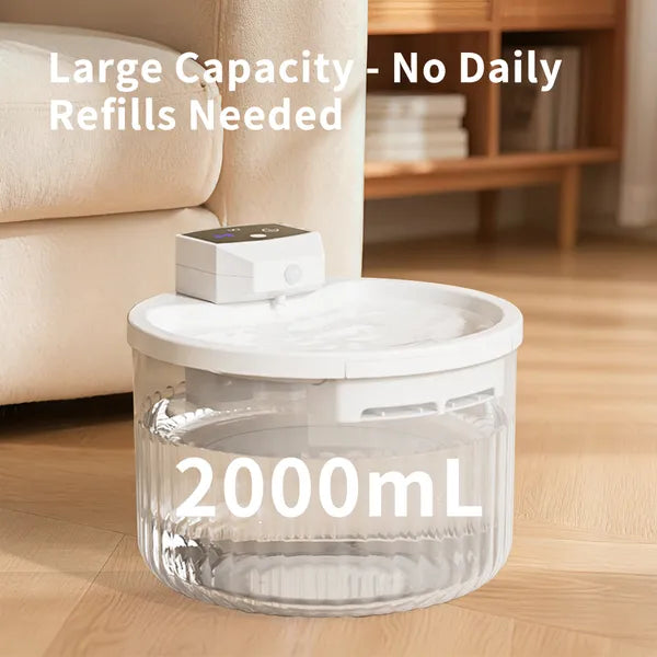 Automatic water dispenser