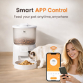 Automatic feeder