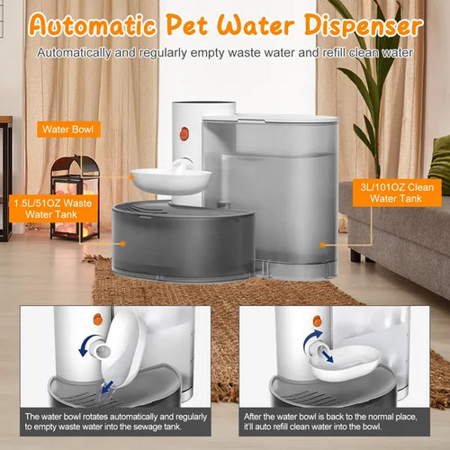 Automatic water dispenser