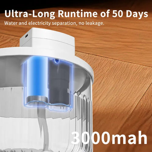 Automatic water dispenser