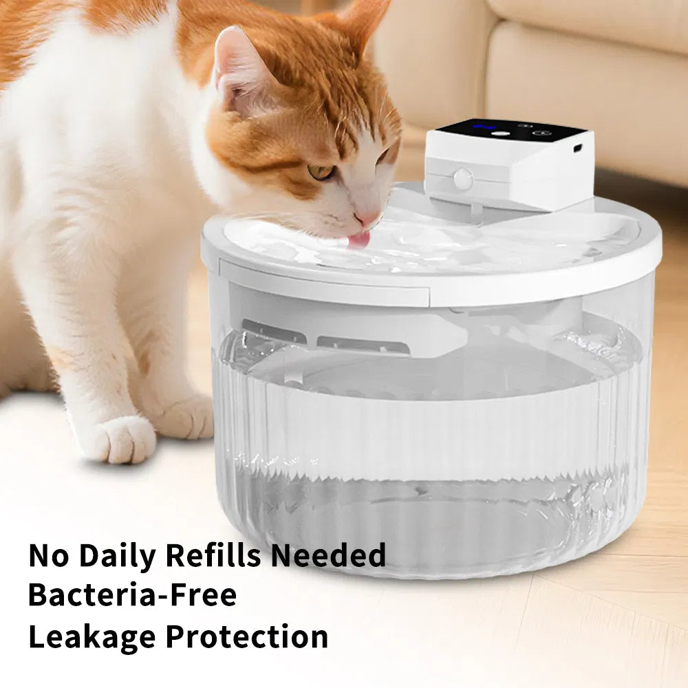 Automatic water dispenser
