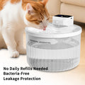 Automatic water dispenser