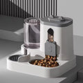 Automatic feeder with water fountain and spill-proof design for cats and dogs