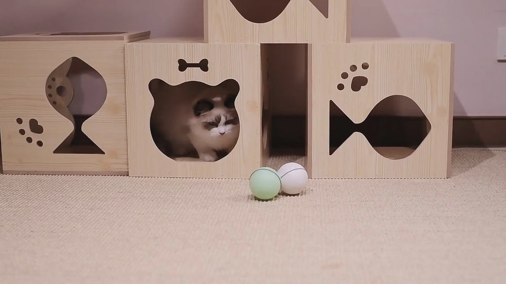 LED Laser Electronic Rolling Pet Funny Cat Toy Ball